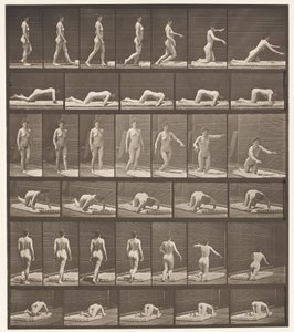 Placa 272. Tropezando y Cayendo al Suelo de Eadweard Muybridge