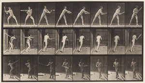 Placa 277. Béisbol; Bateando de Eadweard Muybridge