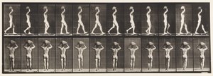 Placa 27. Caminando, llevando una piedra de 70 lb en la cabeza, manos levantadas de Eadweard Muybridge