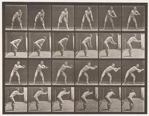 Placa 280. Béisbol; atrapando, 1885 de Eadweard Muybridge