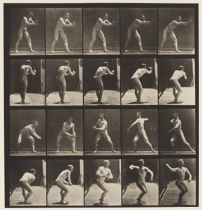 Placa 282. Béisbol; atrapando y lanzando de Eadweard Muybridge