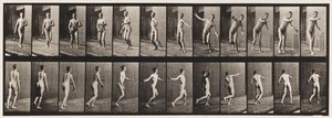 Placa 289. Cricket; lanzamiento de brazo redondo de Eadweard Muybridge