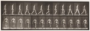 Placa 28. Caminando, llevando una pesa de 50 lb en la mano derecha, 1872-1885 de Eadweard Muybridge
