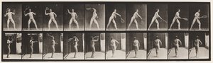 Placa 294. Tenis en Césped; Sirviendo de Eadweard Muybridge