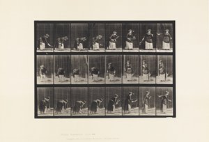 Placa 295. Tenis en césped; sirviendo de Eadweard Muybridge
