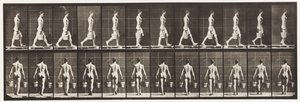Placa 29. Caminando, llevando un cubo de agua en cada mano de Eadweard Muybridge