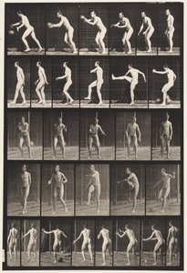Placa 300. Fútbol; patada de drop, 1885 de Eadweard Muybridge