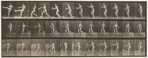 Placa 301. Fútbol; Punt, 1885 de Eadweard Muybridge