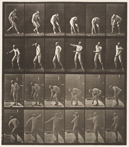 Placa 302. Recogiendo una pelota y lanzándola de Eadweard Muybridge