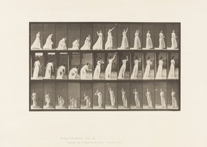 Placa 305. Recogiendo una pelota y lanzándola, 1885 de Eadweard Muybridge