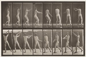 Placa 309. Lanzando el martillo de Eadweard Muybridge
