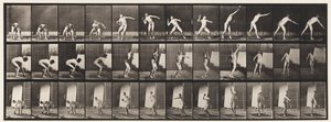 Placa 310. Lanzamiento de peso, 1885 de Eadweard Muybridge