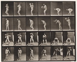Placa 312. Levantando una roca de 75 libras de Eadweard Muybridge