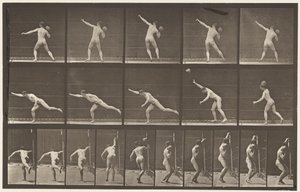 Placa 313. Levantando una roca de 20 libras de Eadweard Muybridge