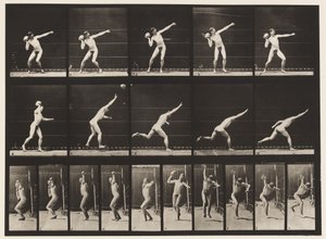 Placa 314. Levantando una Roca de 20 libras de Eadweard Muybridge