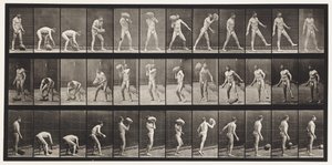 Placa 317. Levantando una Roca de 70 lb de Eadweard Muybridge