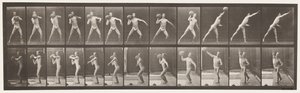 Placa 319. Levantando una Roca de 75 lb de Eadweard Muybridge