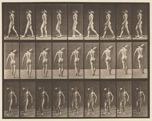 Placa 31. Caminando, Llevando una Piedra de 75 lb en el Hombro Derecho de Eadweard Muybridge