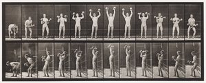 Placa 322. Levantando y Bajando Dos Mancuernas de 50 lb de Eadweard Muybridge