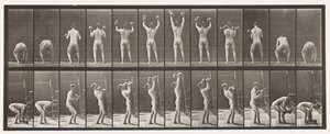 Placa 323. Levantando y Bajando Dos Pesas de 50 lb de Eadweard Muybridge