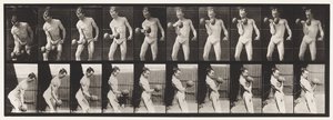 Placa 324. Flexionando Pesa de 50 lb, Modelo, 3/4 de longitud de Eadweard Muybridge
