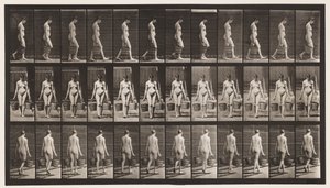 Placa 32. Caminando, Llevando un Cubo de Agua en Cada Mano de Eadweard Muybridge