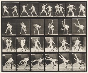 Placa 332. Boxeo; Cross-Buttocks de Eadweard Muybridge