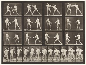 Placa 335. Boxeo; con guantes de Eadweard Muybridge