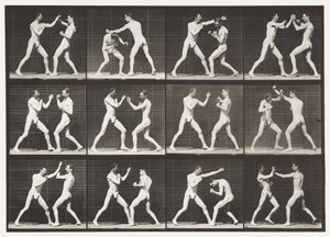 Placa 336. Boxeo; Mano Abierta (Zapatos) de Eadweard Muybridge