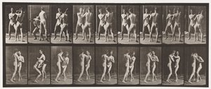 Placa 337. Boxeo; mano abierta de Eadweard Muybridge