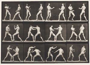 Placa 338. Boxeo; Mano abierta (zapatos) de Eadweard Muybridge