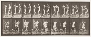 Placa 339. Boxeo; mano abierta de Eadweard Muybridge