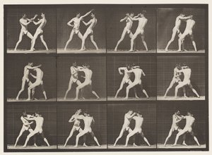 Placa 340. Boxeo; mano abierta de Eadweard Muybridge