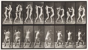 Placa 341. Boxeo; Mano Abierta de Eadweard Muybridge