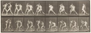 Placa 342. Boxeo; mano abierta, 1872-1885 de Eadweard Muybridge