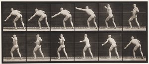 Placa 343. Dando un golpe (mano izquierda) de Eadweard Muybridge