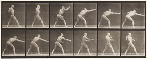 Placa 344. Dando un golpe (Mano derecha) de Eadweard Muybridge