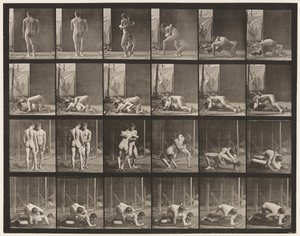 Placa 346. Lucha, llave de Eadweard Muybridge