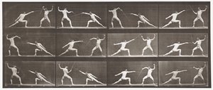 Placa 349. Esgrima de Eadweard Muybridge