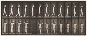 Placa 34. Caminando de Eadweard Muybridge