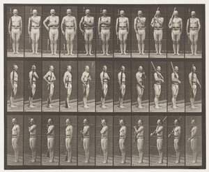 Placa 352. Hombro, orden y llevar armas de Eadweard Muybridge