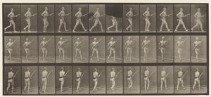 Placa 359. Cargando bayoneta, 1872-1885 de Eadweard Muybridge