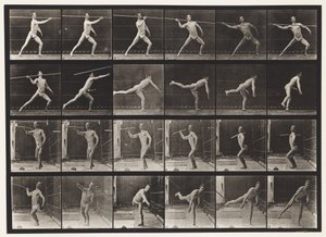 Placa 361. Lanzando una lanza, 1872-1885 de Eadweard Muybridge