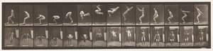 Placa 362. Salto mortal hacia atrás de Eadweard Muybridge
