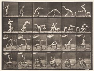 Placa 364. Voltereta sobre la Espalda de un Hombre de Eadweard Muybridge