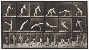 Placa 365. Salto de Cabeza, Una Paloma Voladora Interfiriendo de Eadweard Muybridge