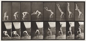 Placa 373. Acróbata, Prensa Desde la Silla de Eadweard Muybridge