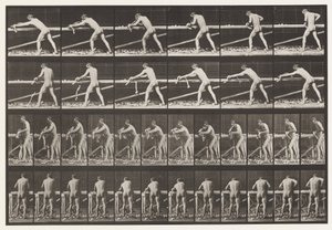 Placa 379. Carpintero, cepillando una tabla, 1872-1885 de Eadweard Muybridge