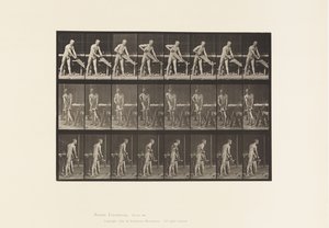 Placa 380. Carpintero, serrando, 1872-1885 de Eadweard Muybridge
