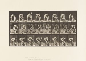 Placa 381. Albañil, colocando un ladrillo de Eadweard Muybridge